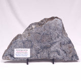 ALCHERINGA NARRINA STROMATOLITE, Late Archean, Australia ZAN035