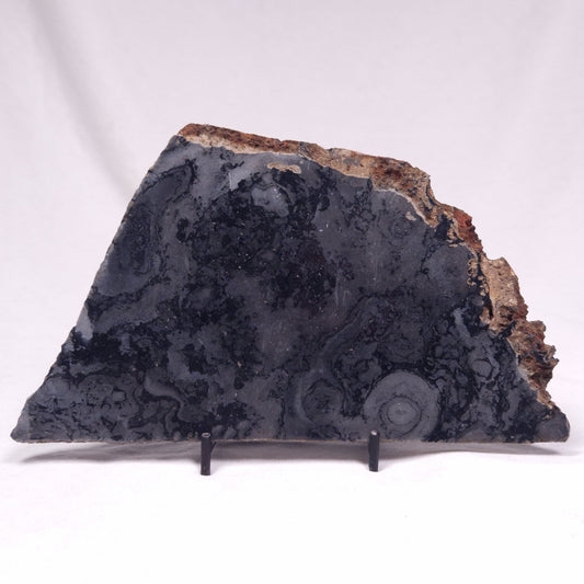 ALCHERINGA NARRINA STROMATOLITE, Late Archean, Australia ZAN036