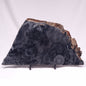 ALCHERINGA NARRINA STROMATOLITE, Late Archean, Australia ZAN036