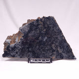 ALCHERINGA NARRINA STROMATOLITE, Late Archean, Australia ZAN037