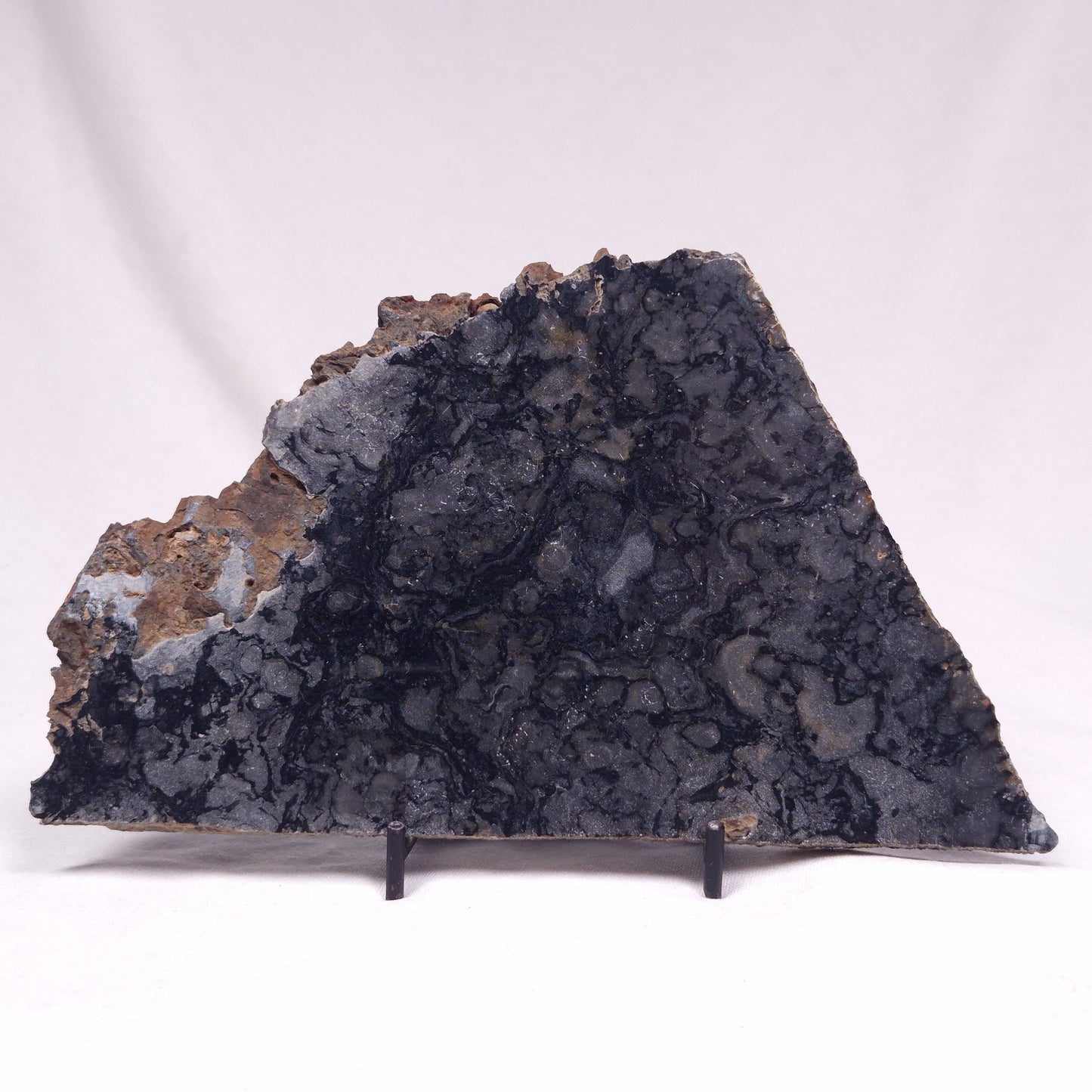 ALCHERINGA NARRINA STROMATOLITE, Late Archean, Australia ZAN037