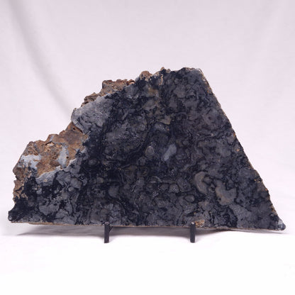ALCHERINGA NARRINA STROMATOLITE, Late Archean, Australia ZAN037