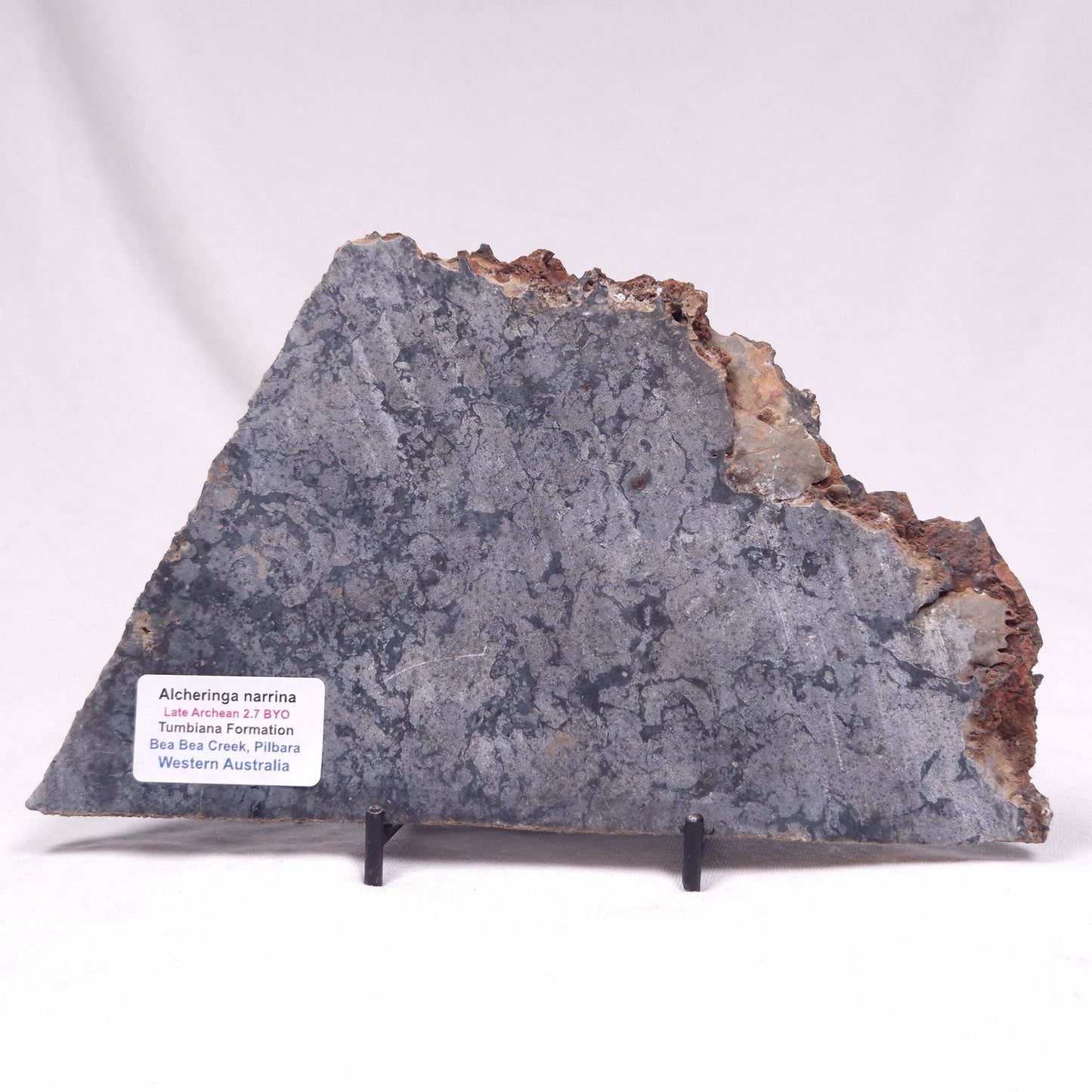 ALCHERINGA NARRINA STROMATOLITE, Late Archean, Australia ZAN037