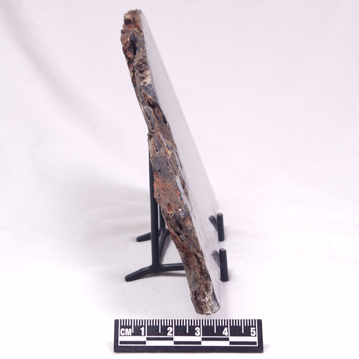 ALCHERINGA NARRINA STROMATOLITE, Late Archean, Australia ZAN037