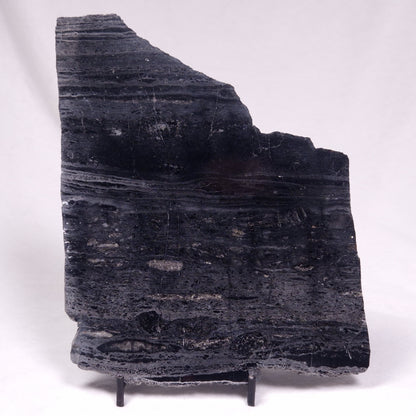 ALCHERINGA NARRINA STROMATOLITE, Late Archean, Australia ZAN038