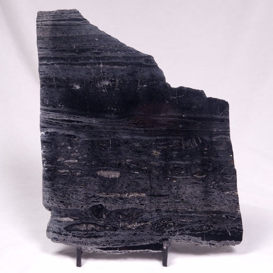 ALCHERINGA NARRINA STROMATOLITE, Late Archean, Australia ZAN038