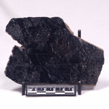 ALCHERINGA NARRINA STROMATOLITE, Late Archean, Australia ZAN039