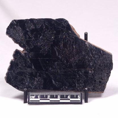 ALCHERINGA NARRINA STROMATOLITE, Late Archean, Australia ZAN039