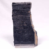 ALCHERINGA NARRINA STROMATOLITE, Late Archean, Australia ZAN040