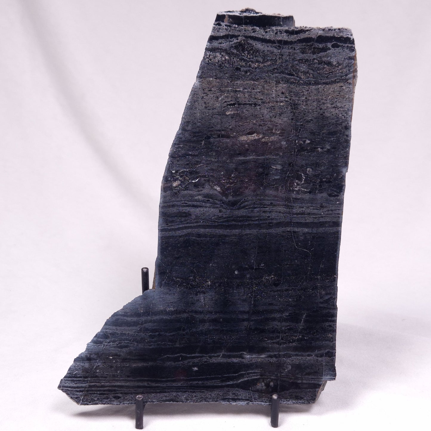 ALCHERINGA NARRINA STROMATOLITE, Late Archean, Australia ZAN044