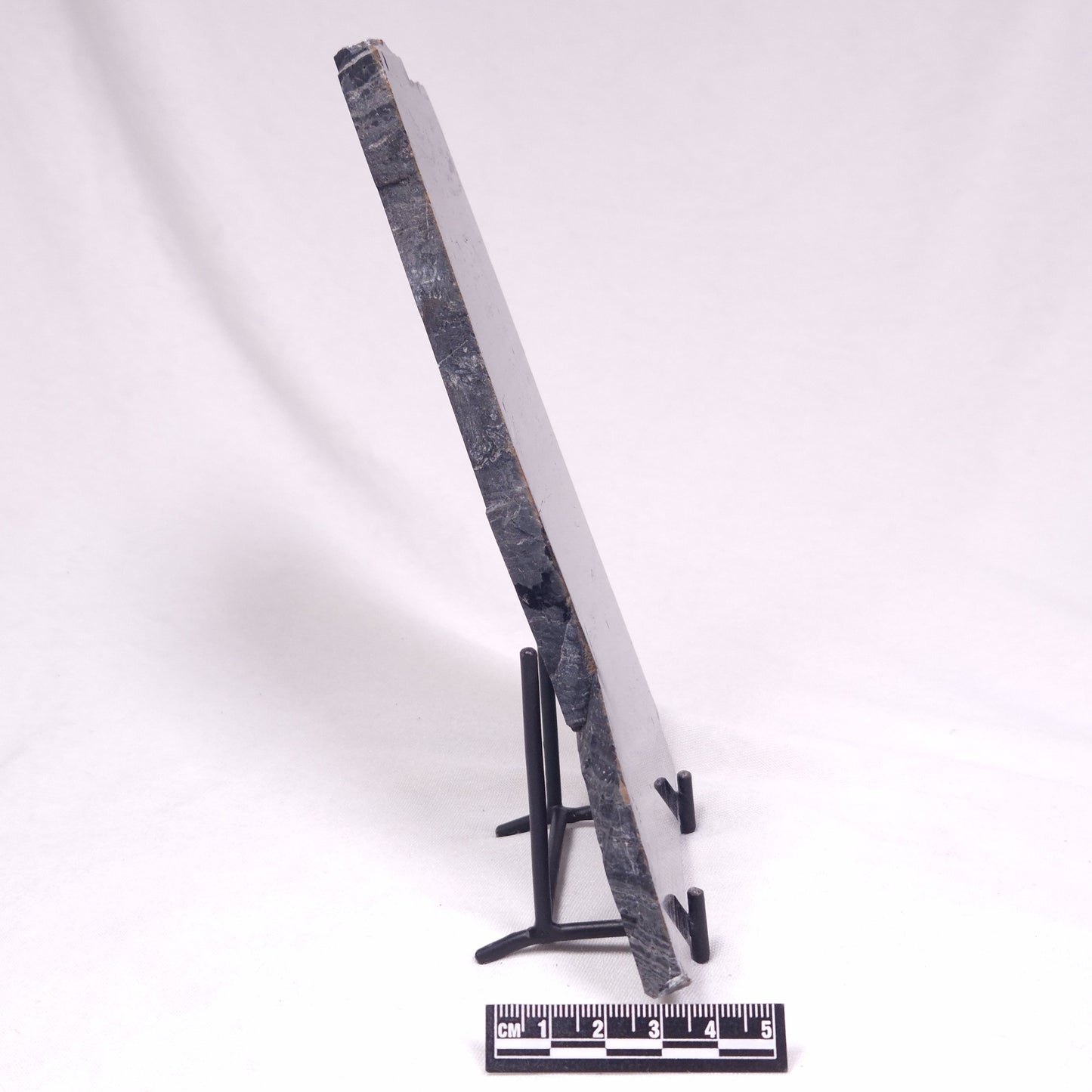 ALCHERINGA NARRINA STROMATOLITE, Late Archean, Australia ZAN044