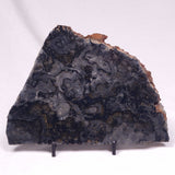 ALCHERINGA NARRINA STROMATOLITE, Late Archean, Australia ZAN045