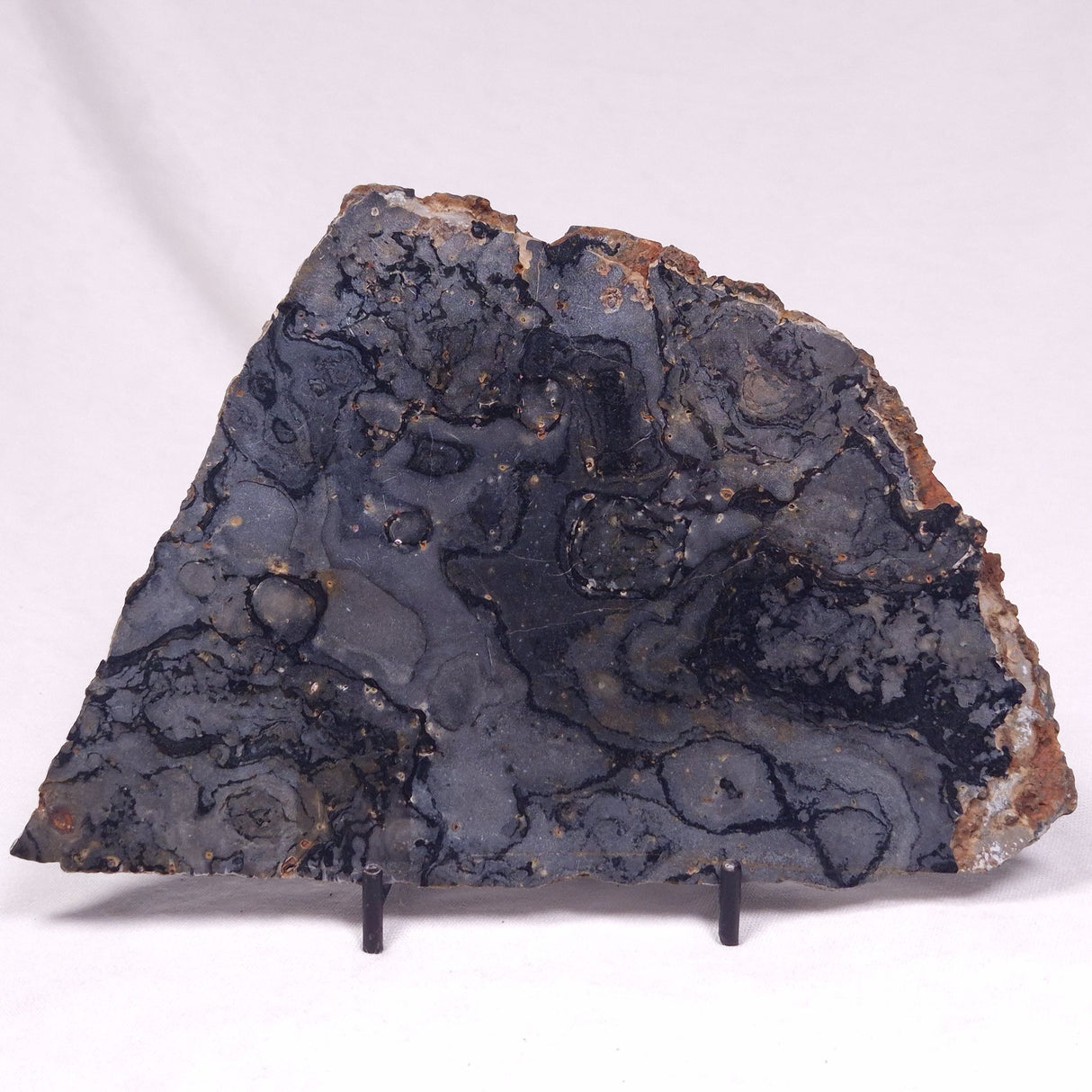 ALCHERINGA NARRINA STROMATOLITE, Late Archean, Australia ZAN046