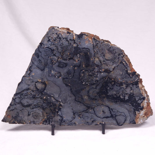 ALCHERINGA NARRINA STROMATOLITE, Late Archean, Australia ZAN046