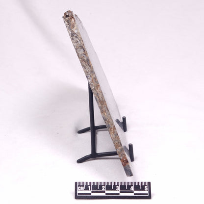 ALCHERINGA NARRINA STROMATOLITE, Late Archean, Australia ZAN046