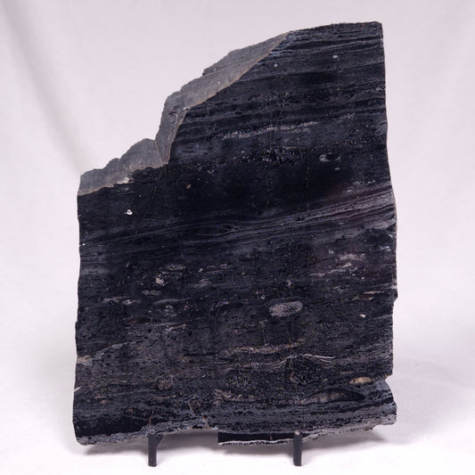 ALCHERINGA NARRINA STROMATOLITE, Late Archean, Australia ZAN047
