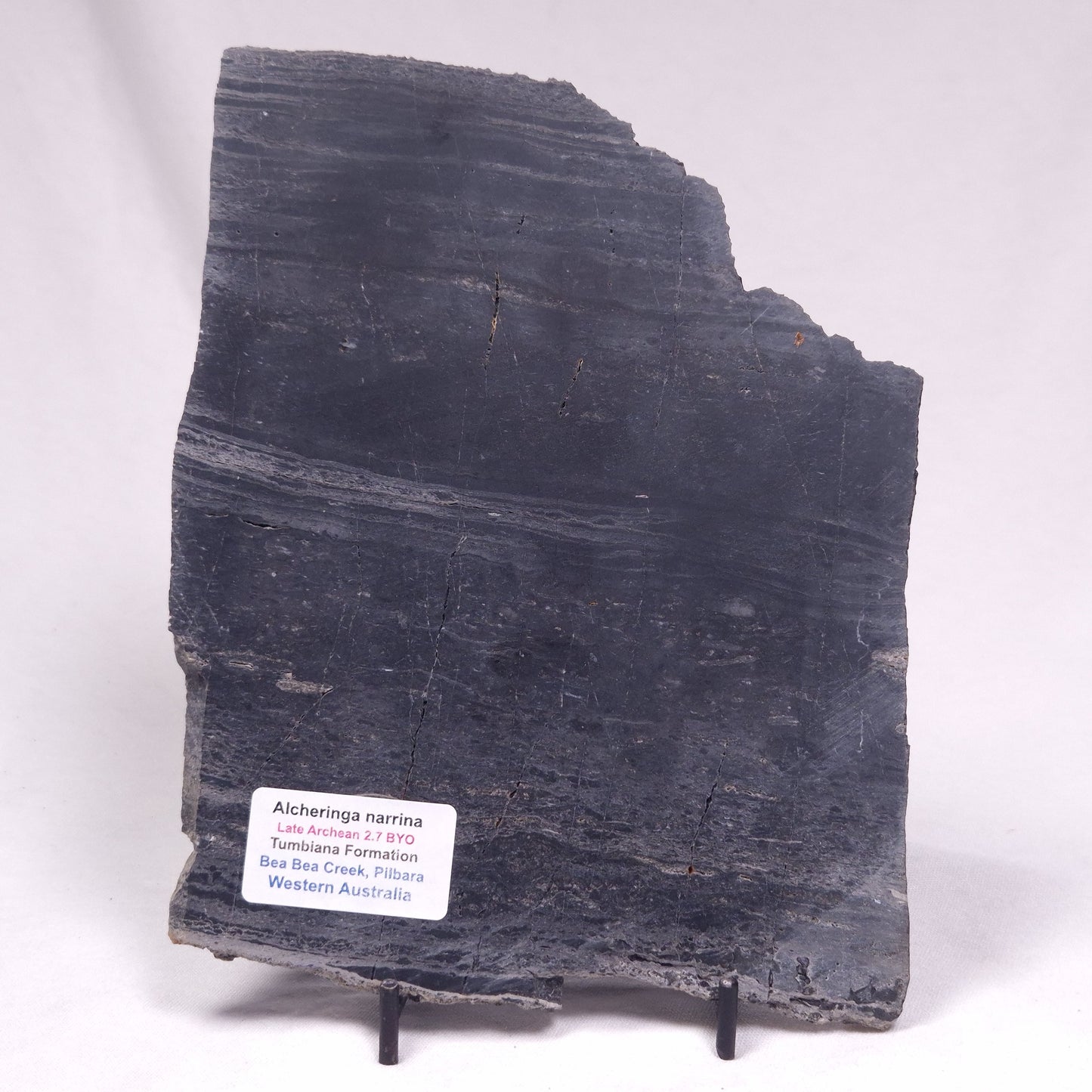 ALCHERINGA NARRINA STROMATOLITE, Late Archean, Australia ZAN047