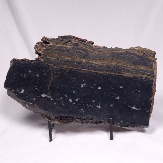 ALCHERINGA NARRINA STROMATOLITE, Late Archean, Australia ZAN048