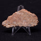 JACK HILLS ZIRCON, Hadean Age, Australia ZJH006