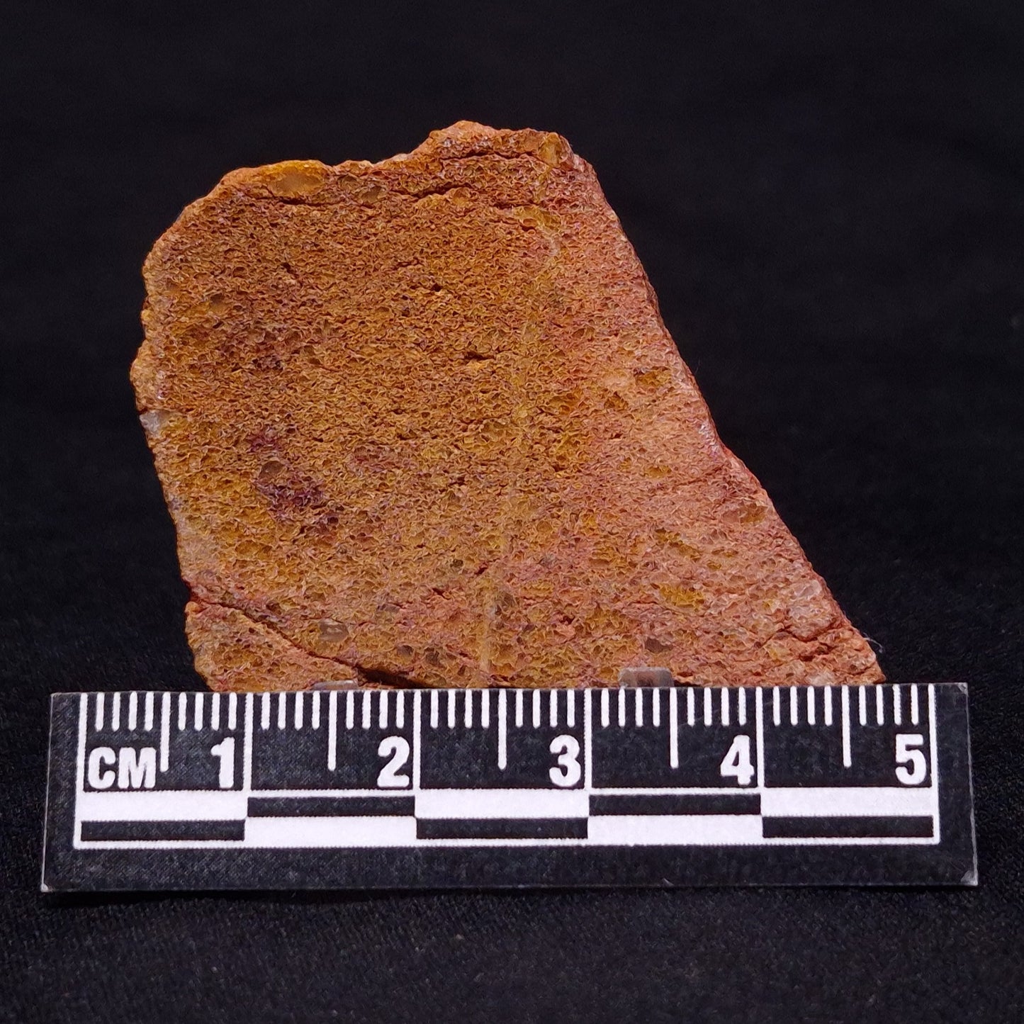 JACK HILLS ZIRCON, Hadean Age, Australia ZJH018
