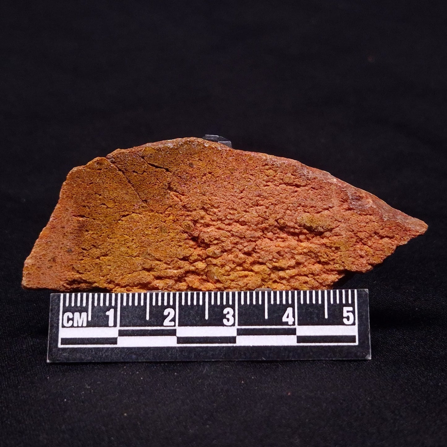 JACK HILLS ZIRCON, Hadean Age, Australia ZJH019