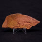 JACK HILLS ZIRCON, Hadean Age, Australia ZJH019
