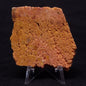 JACK HILLS ZIRCON, Hadean Age, Australia ZJH023