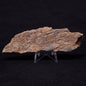 JACK HILLS ZIRCON, Hadean Age, Australia ZJH028