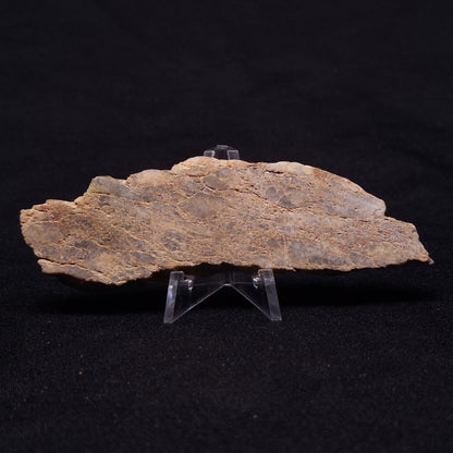 JACK HILLS ZIRCON, Hadean Age, Australia ZJH028