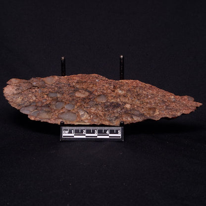 JACK HILLS ZIRCON, Hadean Age, Australia ZJH036