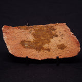 JACK HILLS ZIRCON, Hadean Age, Australia ZJH037