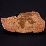 JACK HILLS ZIRCON, Hadean Age, Australia ZJH038