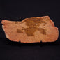 JACK HILLS ZIRCON, Hadean Age, Australia ZJH039