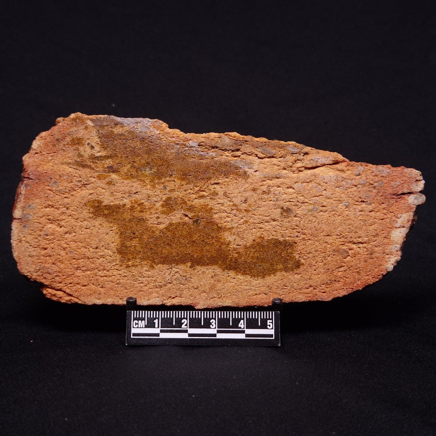 JACK HILLS ZIRCON, Hadean Age, Australia ZJH040