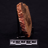 JACK HILLS ZIRCON, Hadean Age, Australia ZJH040
