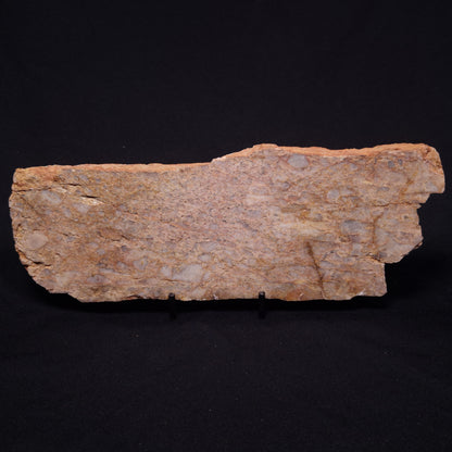 JACK HILLS ZIRCON, Hadean Age, Australia ZJH043