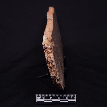 JACK HILLS ZIRCON, Hadean Age, Australia ZJH043