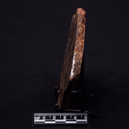 JACK HILLS ZIRCON, Hadean Age, Australia ZJH046