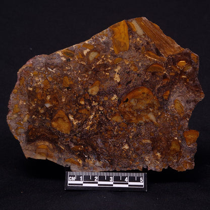 JACK HILLS ZIRCON, Hadean Age, Australia ZJH047