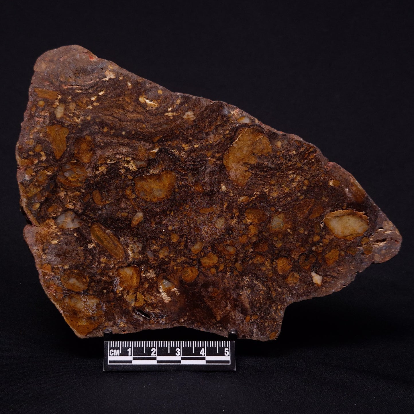 JACK HILLS ZIRCON, Hadean Age, Australia ZJH034