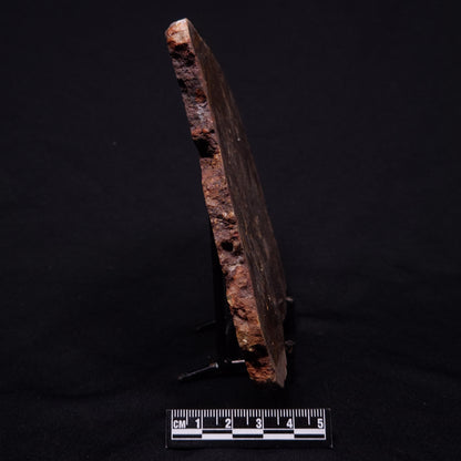 JACK HILLS ZIRCON, Hadean Age, Australia ZJH031