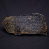 ACASTA GNEISS "OLDEST ROCK IN THE WORLD", Late Hadean, Canada ZAG008