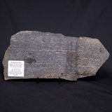 ACASTA GNEISS "OLDEST ROCK IN THE WORLD", Late Hadean, Canada ZAG008