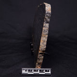ACASTA GNEISS "OLDEST ROCK IN THE WORLD", Late Hadean, Canada ZAG008