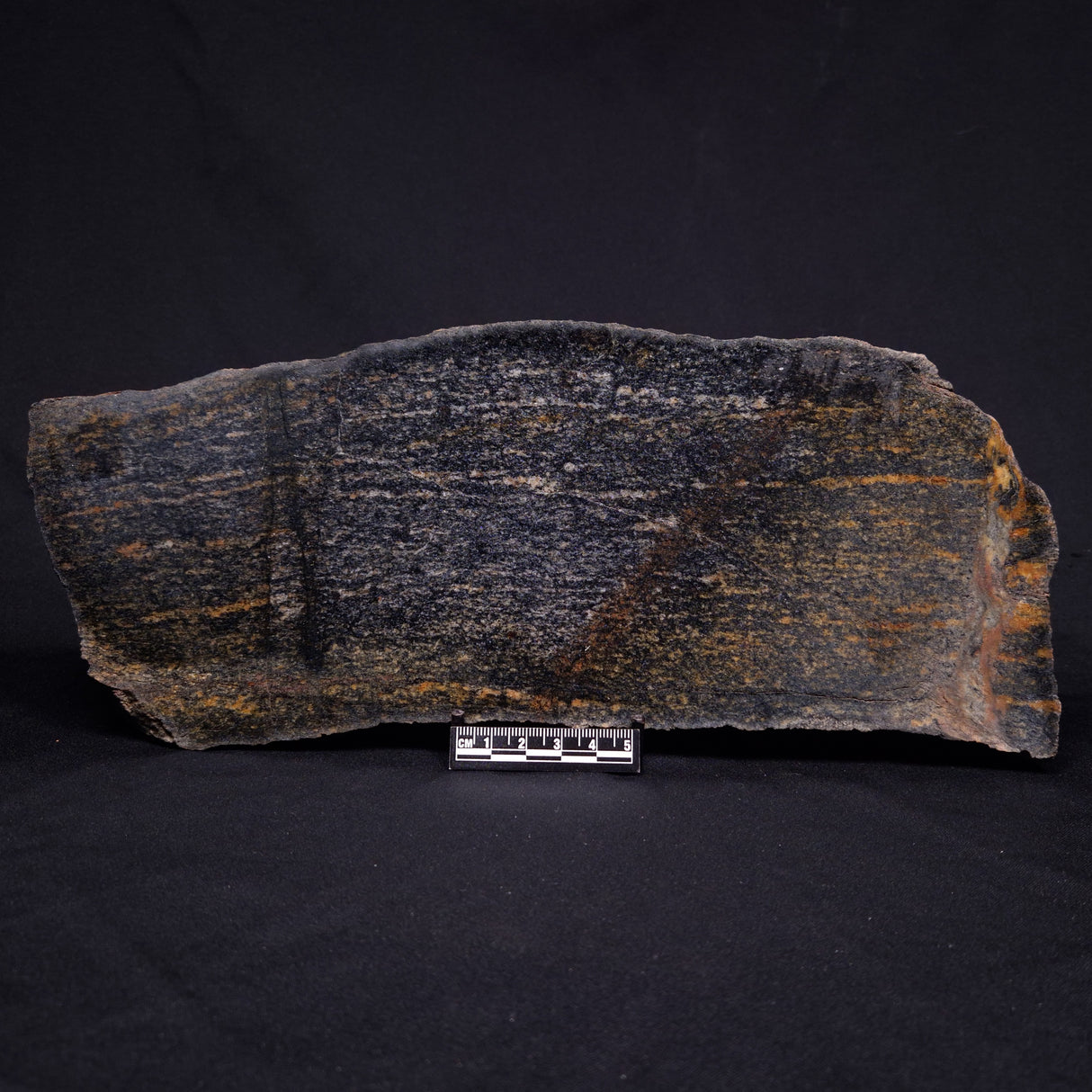 ACASTA GNEISS "OLDEST ROCK IN THE WORLD", Late Hadean, Canada ZAG009
