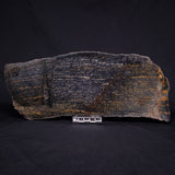 ACASTA GNEISS "OLDEST ROCK IN THE WORLD", Late Hadean, Canada ZAG009