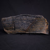 ACASTA GNEISS "OLDEST ROCK IN THE WORLD", Late Hadean, Canada ZAG009