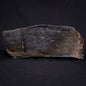 ACASTA GNEISS "OLDEST ROCK IN THE WORLD", Late Hadean, Canada ZAG009