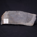 ACASTA GNEISS "OLDEST ROCK IN THE WORLD", Late Hadean, Canada ZAG009