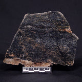 ACASTA GNEISS "OLDEST ROCK IN THE WORLD", Late Hadean, Canada ZAG013